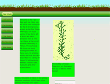 Tablet Screenshot of flaxforsale.com